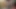 Dört seksi kızla heyecanlı bir striptiz kartı oyunu