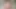 Bbw titfucking comp