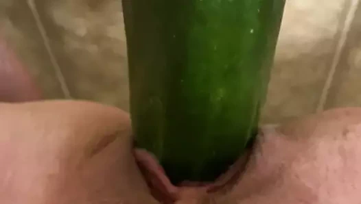 Salatalık derin içinde benim kedi