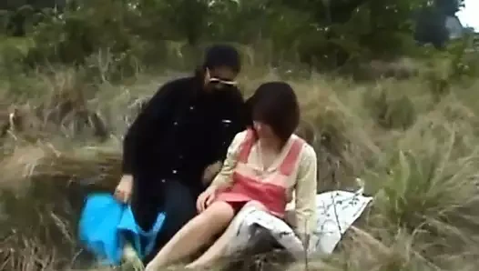 Himawari sebze ile becerdin ve sürmek horoz üzerinde the