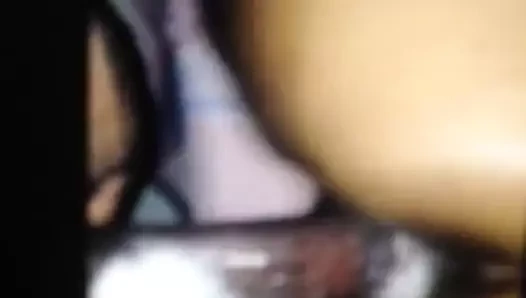 The en kremsi kedi becerdin tarafından bbc