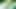 Sri Lankalı utangaç kız
