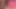 Pinky dildo