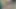 Hintli ateşli yenge yeşillik içinde yarak emiyor
