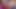 Dört porno ateşli kız birkaç yarağı paylaşıyor