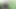 Utangaç teşhirci sigara molası veriyor