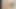 Amber rayne teaser 25