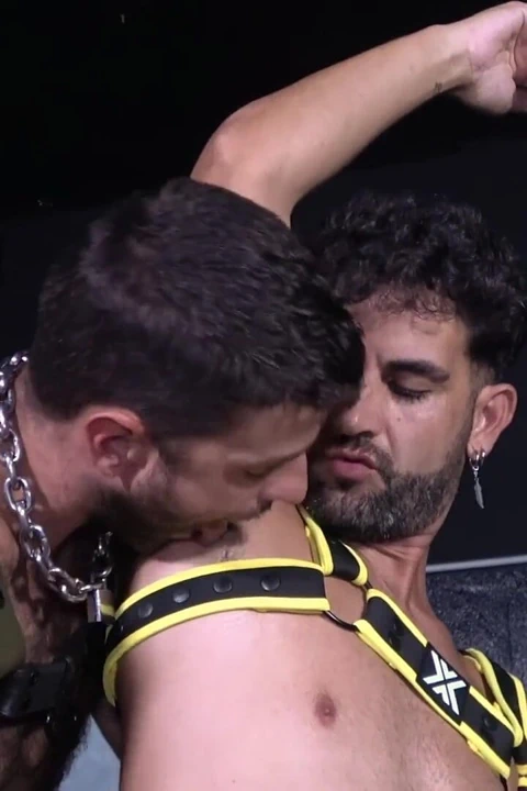 Karanlıktaki Yavru Köpekler