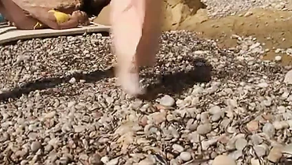 deniz canlıları cd1