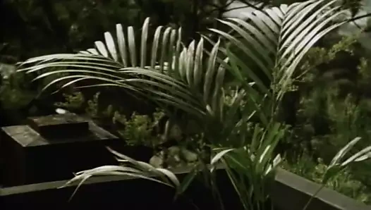 lütfen mr. postacı (1981, biz, tam film, loni sanders, dvd)