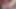 Yeni anal oyuncak ve amında büyük dildo