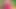 Hintli güzel kız arkadaş sıkı ilk kez ormanda xxx videolar, desi güzel ormanda kız arkadaş seks videoları