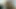 Ree Pov