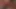alexa rae