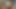 Ateşli götlü travesti sert sikişiyor