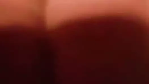 Rumen kedi büyük labia