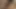Seksi küçük zenci sürtük dik memelere döl atacak büyük beyaz bir yarak almayı seviyor