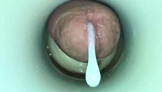 Fertility meni tarafından boşalmak kam adam