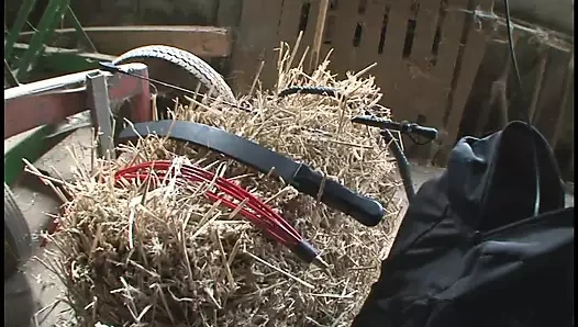 Zucht u Ordnung 2 (Full Movie)