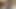 Jerk your cock hard and fast for me JOI