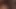 Hint kahrolası kivi