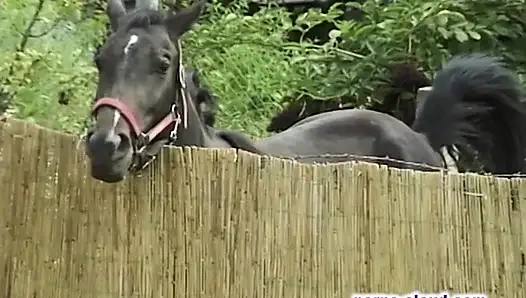 Nineler yaz sikişi - dvd