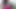 Nikki ladyboys fucsia gündelik elbise