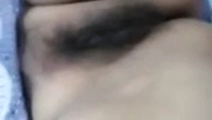 Cat67