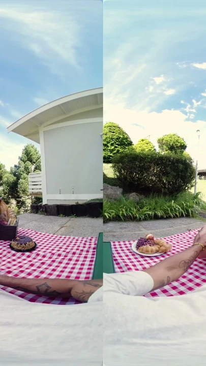 Piknik İstiyor, Ben Ona Creampie Veriyorum - Virtual Real Porn | Bölüm 1