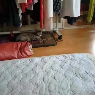 Kore ev hanımı temizlik