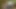 VIP4k. genç coquette nathaly araba sürmek istiyor ama ihtiyaçları