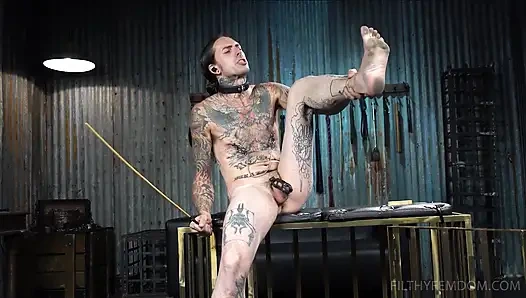 Mesafeli aiden'ini ve gavatını koru, Aiden Starr