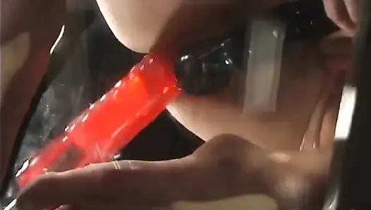 Uyum