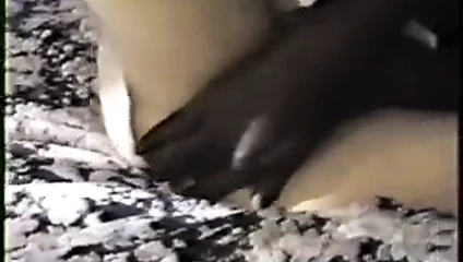 cumming içinde ona göt