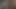 çıplak dövüş