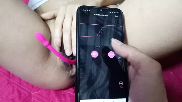 gür içinde kedi ve kanca