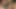 Emma popo küçük üvey kız kardeşiyle sikikleri – büyük göğüsler canavarı