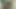 Üvey erkek kardeşimi ona iyi öğretmek için çalıya götürdüm