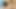 Twink eşcinsel dillon samuels alır oral seks süre Mastürbasyon