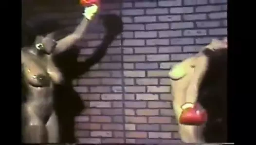 Irklar arası boks yendi 2