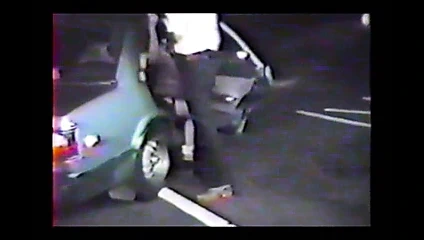 kedi üzerinde çok mandal