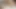 Horny Stepsister Seduced & Fucked Hard - Passionate Blowjob, Missionary & Doggy