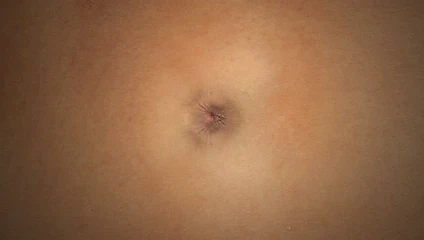 Tripofil 01: izole zonklayan anüs. orgazm.