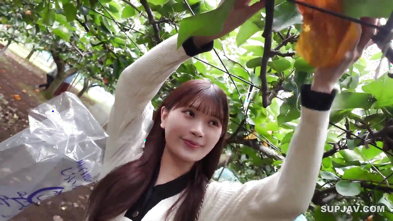 Asian Angel 20430