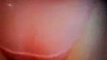 Kandy'nin pembe külot alay