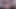 pmv lily