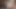 Lifeselector - seksi yabancı sybil barın arkasını sikmek istiyor