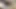 Cuckold milf eşleri bbc boğalarla – korkak onları sadece izliyor