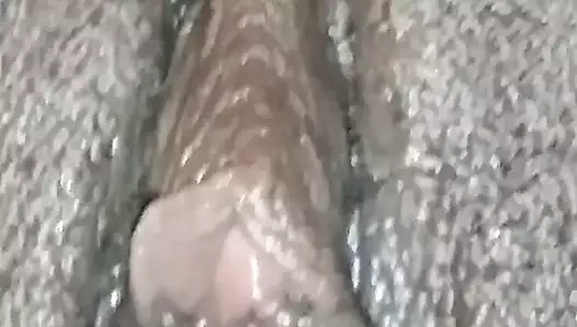 yakın yukarı premium abanoz kedi