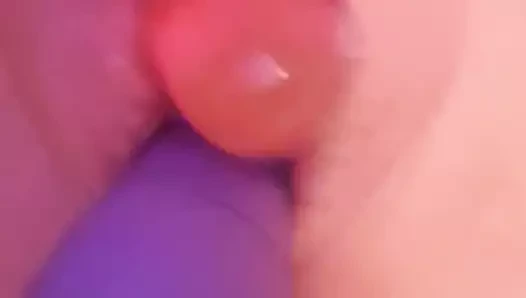 oynuyor onu ıslak KEDİ ile çoklu oyuncaklar